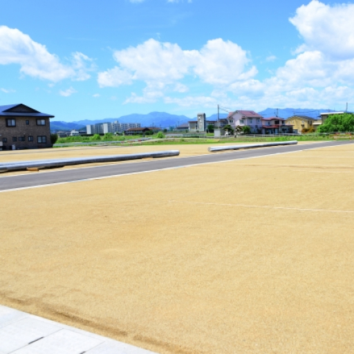 南側道路の土地